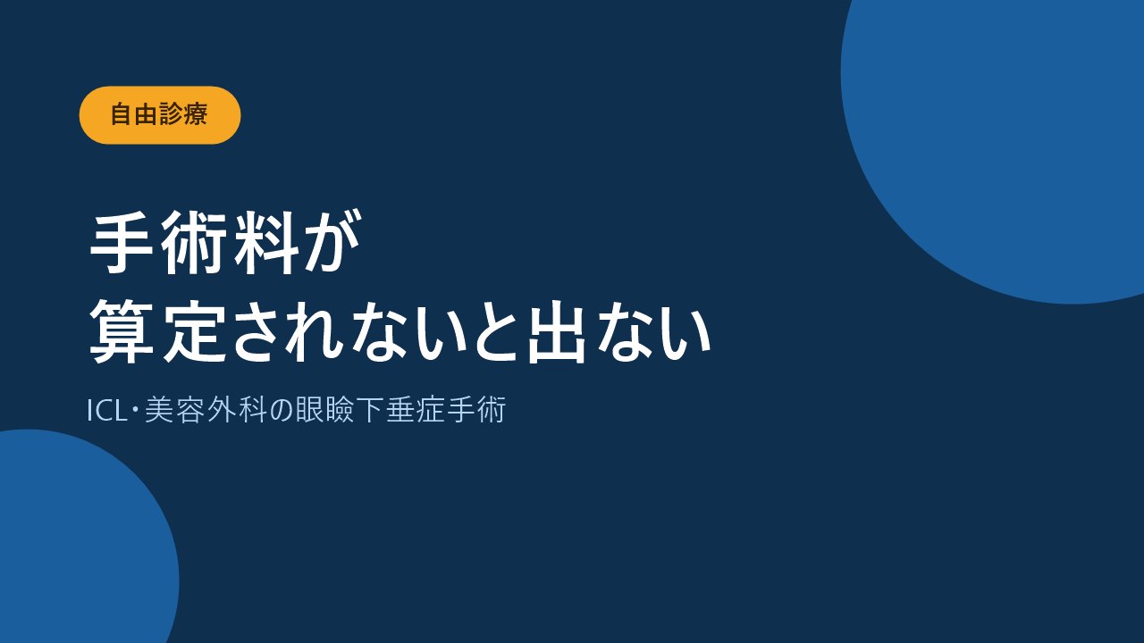 ICLや美容外科での手術など自由診療は原則対象外であることを示すバナー画像